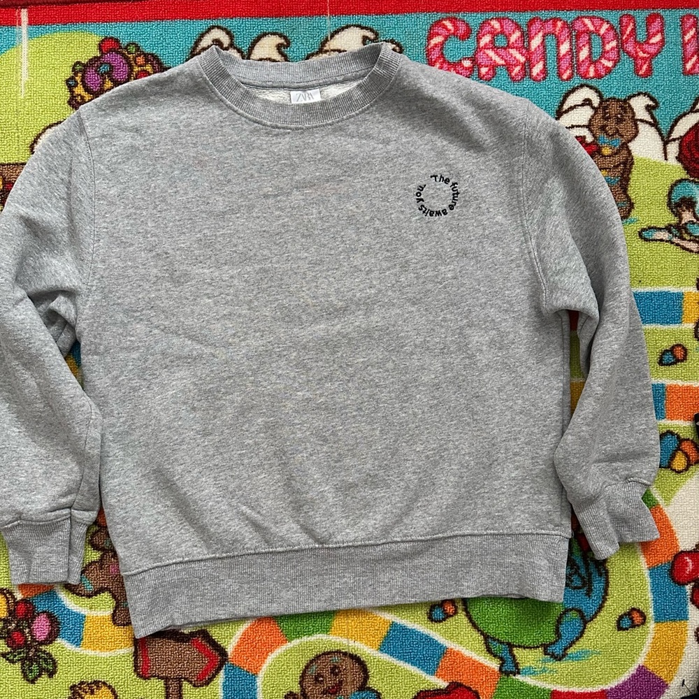 Unisex kids Zara sweatshirt.